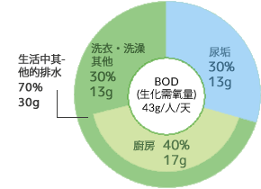 【BOD43g/人/日】生活雑排水70% 30%（[洗濯・風呂・その他30%13g、台所40%17g]、[し尿30%13g]）